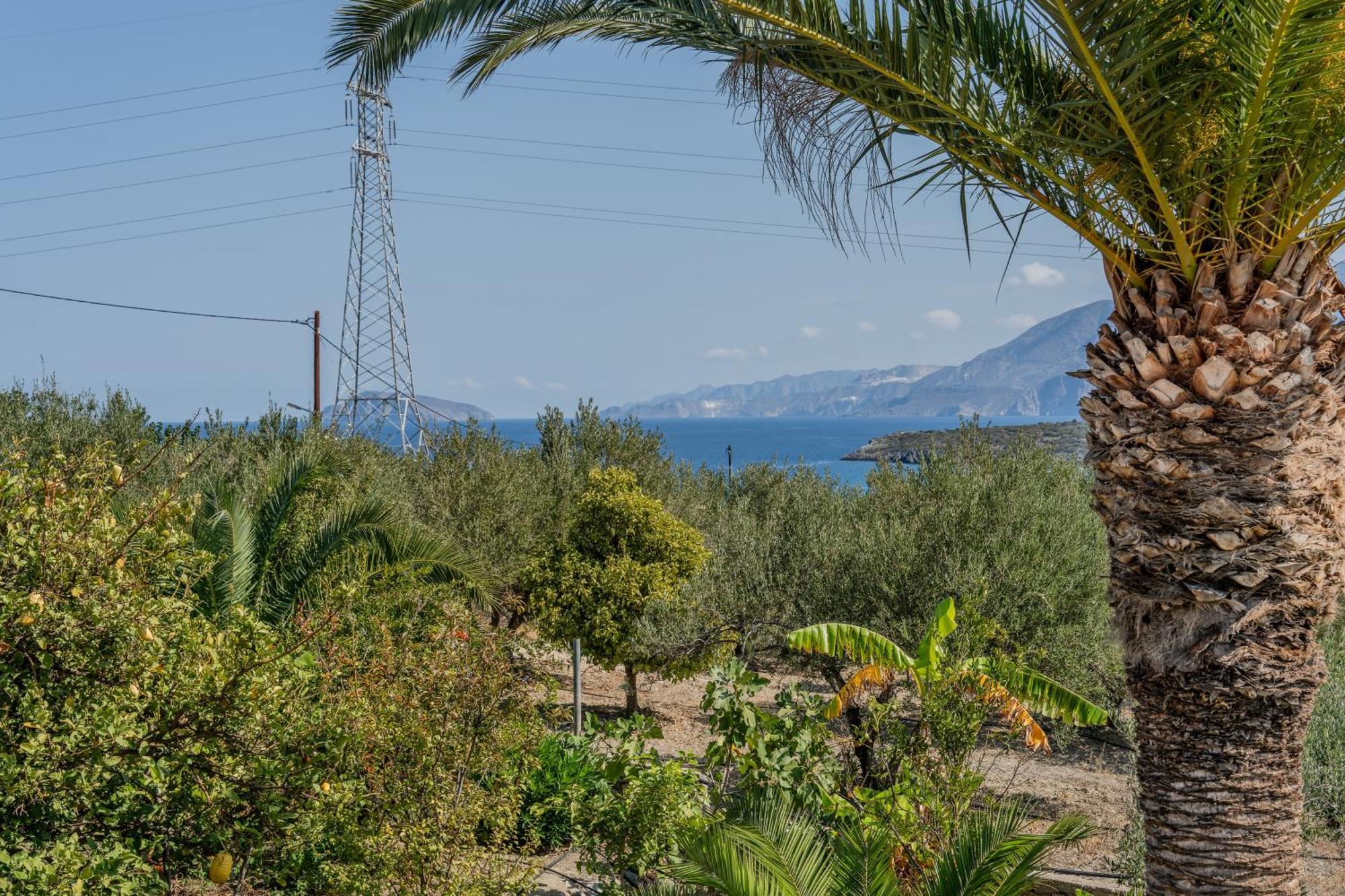 Athina Villas Ísztro Kültér fotó