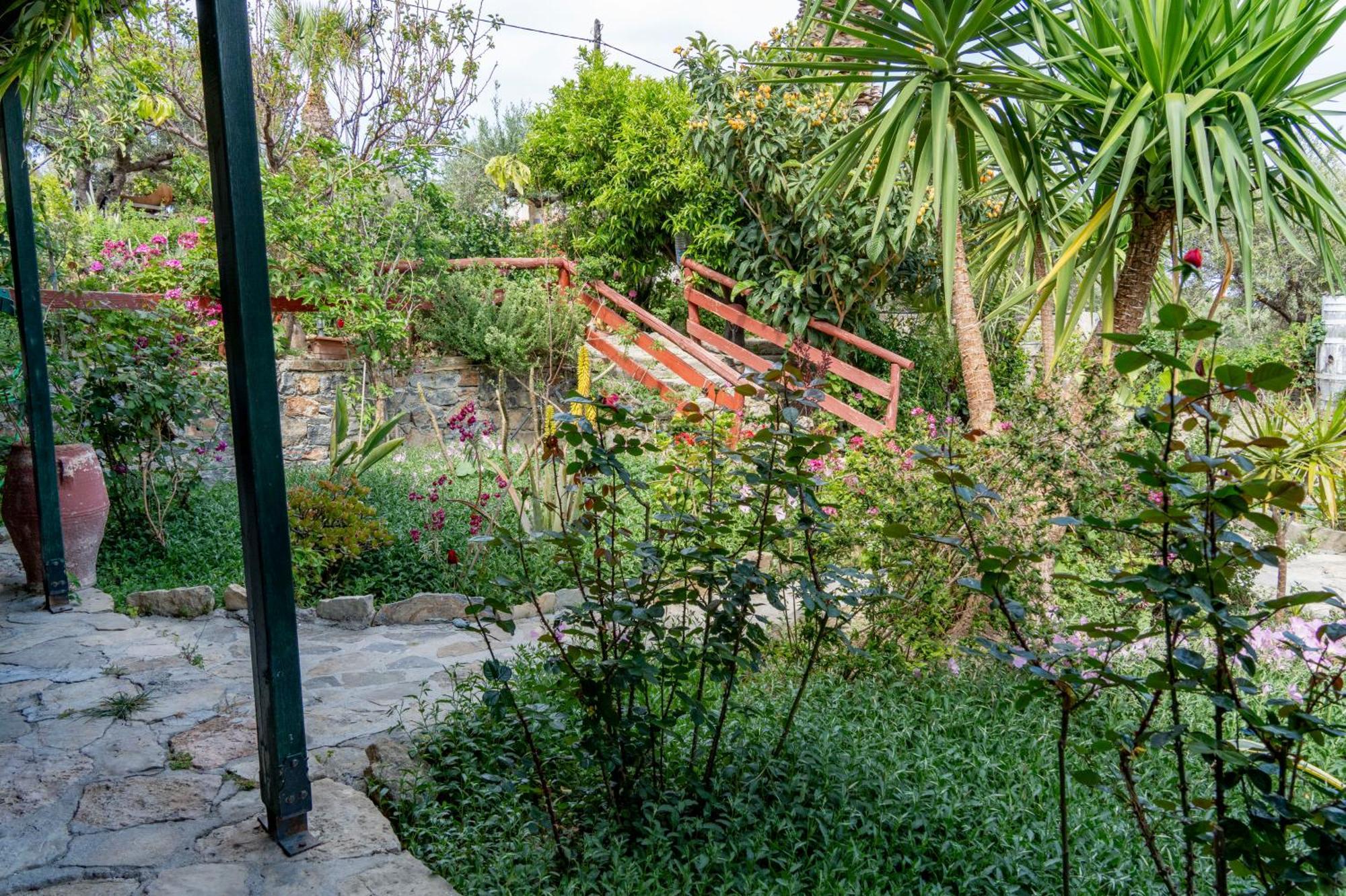 Athina Villas Ísztro Kültér fotó